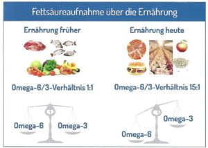 Fettsaeureaufnahme-ueber-die-Ernaerhung
