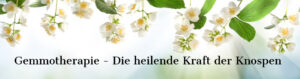 iGemmotherapie